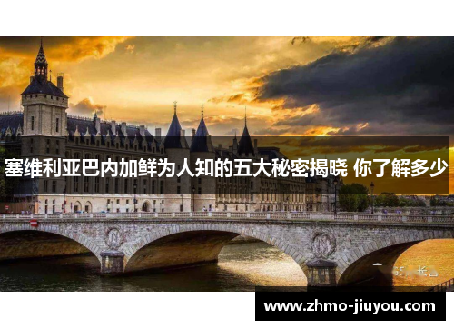 塞维利亚巴内加鲜为人知的五大秘密揭晓 你了解多少