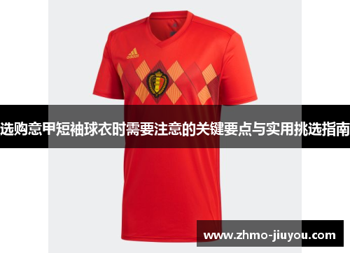 选购意甲短袖球衣时需要注意的关键要点与实用挑选指南 选购意甲短袖球衣时需要注意的关键要点与实用挑选指南