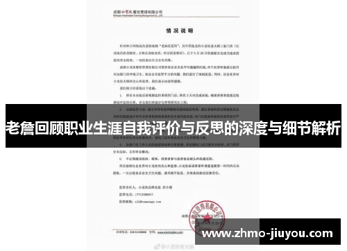 老詹回顾职业生涯自我评价与反思的深度与细节解析